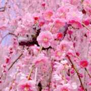 ヒメ日記 2026/03/01 10:57 投稿 一色　岬 30・40・50代☆人妻熟女コレクション