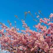 ヒメ日記 2026/03/15 17:05 投稿 一色　岬 30・40・50代☆人妻熟女コレクション