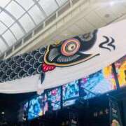 ヒメ日記 2026/04/09 09:51 投稿 一色　岬 30・40・50代☆人妻熟女コレクション