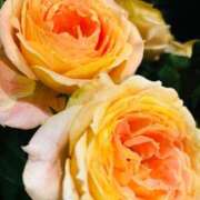 ヒメ日記 2026/04/22 22:07 投稿 一色　岬 30・40・50代☆人妻熟女コレクション