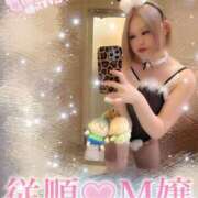 ヒメ日記 2025/04/07 13:27 投稿 じゅな 沼津人妻花壇