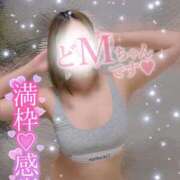 ヒメ日記 2025/05/11 18:23 投稿 じゅな 沼津人妻花壇