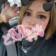 ヒメ日記 2025/09/07 18:33 投稿 じゅな 沼津人妻花壇