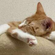 ヒメ日記 2025/09/16 08:55 投稿 じゅな 沼津人妻花壇