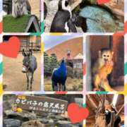 ヒメ日記 2024/12/28 15:00 投稿 おとか 奥鉄オクテツ大阪