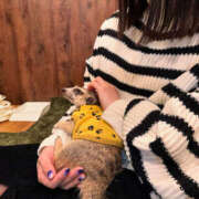 ヒメ日記 2025/01/04 15:25 投稿 おとか 奥鉄オクテツ大阪