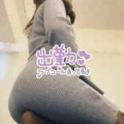 ヒメ日記 2026/01/16 13:50 投稿 おとか 奥鉄オクテツ大阪