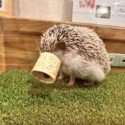 ヒメ日記 2025/01/04 22:40 投稿 おとか 奥鉄オクテツ奈良