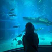 ヒメ日記 2025/07/19 09:35 投稿 おとか 奥鉄オクテツ奈良