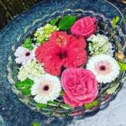 ヒメ日記 2025/07/24 08:55 投稿 りょう 恋づま