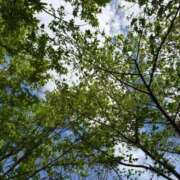 りょう おはようございます 恋づま