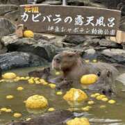 ヒメ日記 2024/12/25 23:45 投稿 おとか 奥鉄オクテツ兵庫