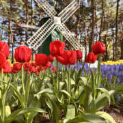 ヒメ日記 2025/04/28 01:10 投稿 おとか 奥鉄オクテツ兵庫