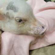 ヒメ日記 2025/05/18 18:37 投稿 なぎさ 人妻本舗愛のしずく名古屋店