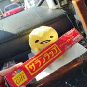 ヒメ日記 2026/03/01 18:46 投稿 なぎさ 人妻本舗愛のしずく名古屋店