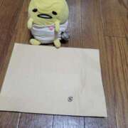 ヒメ日記 2026/03/13 21:08 投稿 なぎさ 人妻本舗愛のしずく名古屋店