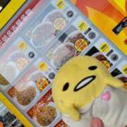 ヒメ日記 2026/03/29 19:30 投稿 なぎさ 人妻本舗愛のしずく名古屋店