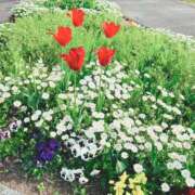 ヒメ日記 2025/05/08 22:27 投稿 みほ 横浜ミセスアロマ（ユメオト）