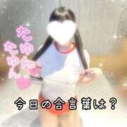 ヒメ日記 2025/02/08 15:08 投稿 よぞら E+アイドルスクール