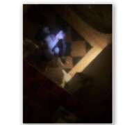 ヒメ日記 2025/11/22 17:42 投稿 るい ちゃんこ東大阪 布施・長田店