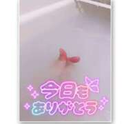 ヒメ日記 2025/11/26 03:02 投稿 るい ちゃんこ東大阪 布施・長田店