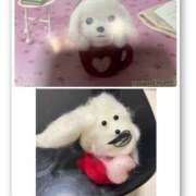 ヒメ日記 2026/01/17 15:54 投稿 るい ちゃんこ東大阪 布施・長田店