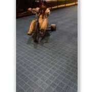 ヒメ日記 2026/03/11 07:28 投稿 るい ちゃんこ東大阪 布施・長田店