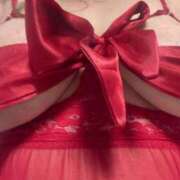 ヒメ日記 2025/11/20 09:53 投稿 らみ 乳野家