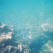 ヒメ日記 2025/11/17 23:18 投稿 まいの 東京人妻セレブリティ（ユメオト）