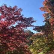 ヒメ日記 2025/11/24 21:12 投稿 まいの 東京人妻セレブリティ（ユメオト）