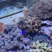 ヒメ日記 2025/12/11 16:31 投稿 まいの 東京人妻セレブリティ（ユメオト）