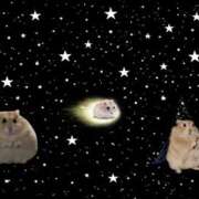 ヒメ日記 2026/02/26 19:27 投稿 まいの 東京人妻セレブリティ（ユメオト）