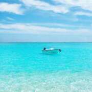 ヒメ日記 2026/04/08 13:31 投稿 まいの 東京人妻セレブリティ（ユメオト）