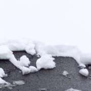 ヒメ日記 2024/12/27 14:55 投稿 とい バニラシュガー久喜店