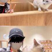 ヒメ日記 2025/06/20 00:05 投稿 とい バニラシュガー久喜店