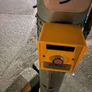 ヒメ日記 2024/12/17 18:35 投稿 とい バニラシュガー古河店