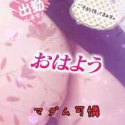 ヒメ日記 2025/03/20 08:19 投稿 あやか マダム可憐