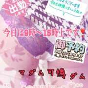 ヒメ日記 2025/04/12 08:19 投稿 あやか マダム可憐