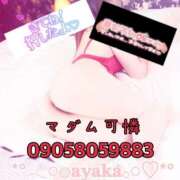 ヒメ日記 2025/04/29 11:05 投稿 あやか マダム可憐