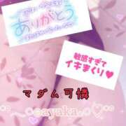ヒメ日記 2025/05/04 14:48 投稿 あやか マダム可憐