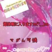 ヒメ日記 2025/05/07 07:47 投稿 あやか マダム可憐
