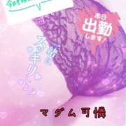 ヒメ日記 2025/05/26 08:33 投稿 あやか マダム可憐