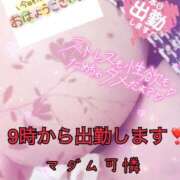 ヒメ日記 2025/06/01 08:30 投稿 あやか マダム可憐