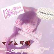 ヒメ日記 2025/06/09 08:57 投稿 あやか マダム可憐