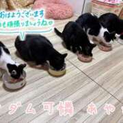 あやか おはようございます☁️ マダム可憐