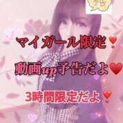 ヒメ日記 2026/02/05 11:01 投稿 あやか マダム可憐