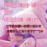 ヒメ日記 2026/04/10 19:36 投稿 あやか マダム可憐