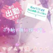 ヒメ日記 2026/09/16 10:20 投稿 あやか マダム可憐