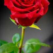 ヒメ日記 2025/01/26 00:43 投稿 ♡ハルカ MEGA PALACE(メガパレス）