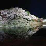 ヒメ日記 2025/03/27 19:13 投稿 ♡ハルカ MEGA PALACE(メガパレス）